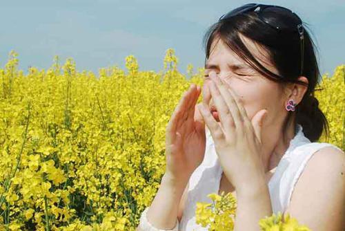 Alergeny i choroby alergiczne