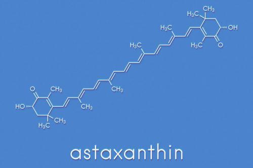 Astaksantyna – antyoksydant z morza