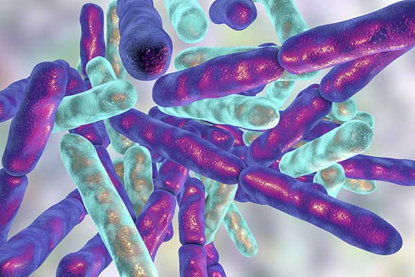 Bakterie beztlenowe – jakie choroby wywołują