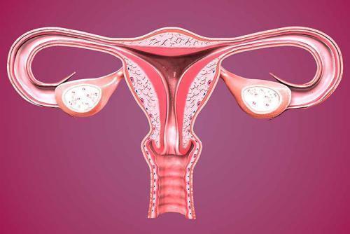 Rak szyjki macicy – objawy diagnostyka i leczenie