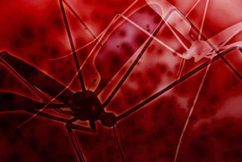 Malaria, denga, cholera, dur brzuszny, leiszmanioza