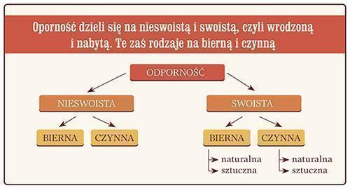 odpornosc tabela