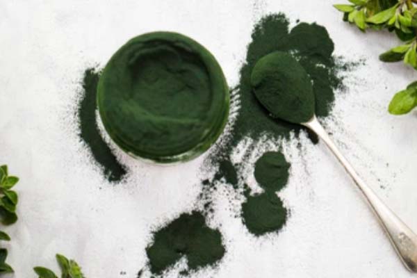 Spirulina - zdrowie z serca Kaszub