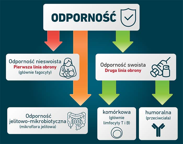 odponosc 3w1