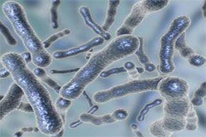 Bakteria E. Coli może przeżyć miesiące w osadach koryt rzek 