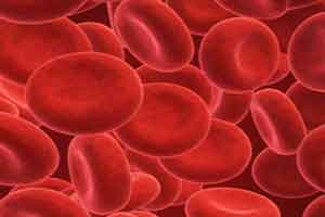 Choroby krwi i układu krwiotwórczego