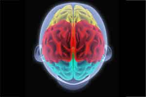 Funkcje mózgu – świadomość