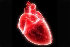 seWady serca – rodzaje, przyczyny powstawania