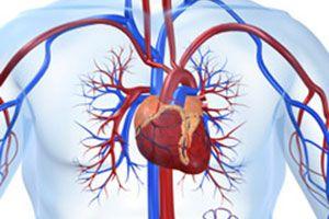 Zapalenie mięśnia sercowego – przyczyny, objawy, przebieg choroby