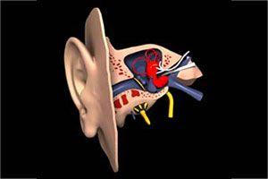 Zapalenie ucha środkowego – objawy, leczenie, powikłania