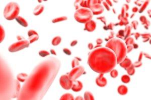 Heparyna – substancja hamująca krzepnięcie krwi