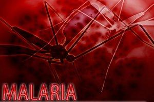 Malaria – jak się przed nią chronić?