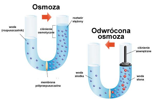 Osmoza i odwrócona osmoza