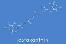 Astaksantyna – antyoksydant z morza