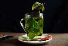 Zielona herbata i antybiotyki