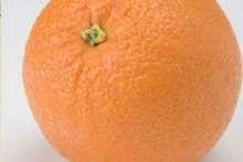 CELLULITIS, czyli pomarańczowa skórka