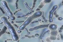 Bakterie gnilne – śmiertelne zagrożenie dla człowieka