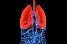 Grzybice płuc i przewodu pokarmowego – rodzaje, objawy
