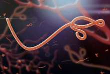 Wirus Ebola, czyli gorączka krwotoczna