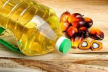 Olej palmowy – pomaga czy szkodzi?